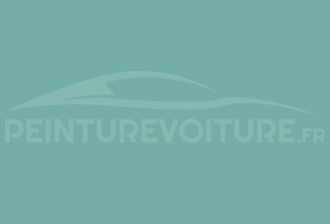 Code peinture Ford (Usa) M1734 Frost Turquoise