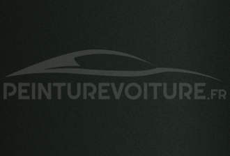 Code peinture Ford (Usa) M1879 Ivy Green