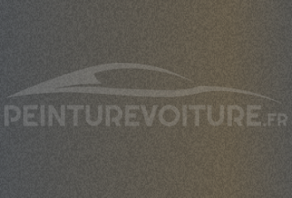 Code peinture Hyundai M2G Bluish Grey