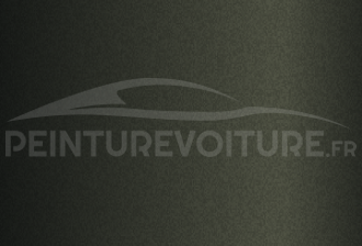 Code peinture Ford (Usa) M3197 Black Jade