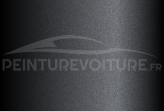 Code peinture Microcar M500 Gris