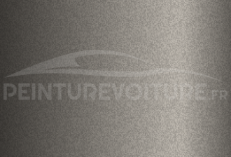 Code peinture Lotus M504 Nimbus Grey