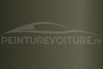 Code peinture Ford M5072 Ivy Bronze