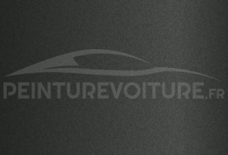 Code peinture Ford (Usa) M5781A Dark Pewter