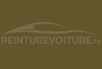 Code peinture Porsche M6D Olive Neo