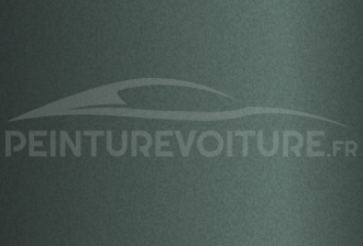 Code peinture Porsche M6G Mysticgrun