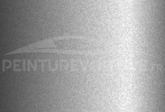 Code peinture Ford (Usa) M7226 Ingot Silver