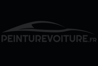 Code peinture Microcar M8207 Noir Ebene