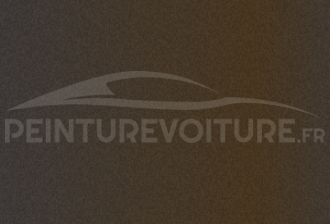 Code peinture Porsche M8P Trueffelbraun