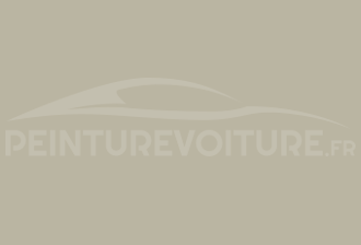 Code peinture Ford MKS Pebble Grey