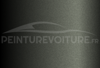 Code peinture Peugeot MOT5 Willow Grey