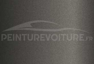 Code peinture Hyundai MP Modern Grey