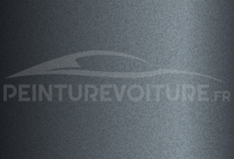 Code peinture Hyundai MSG Grey