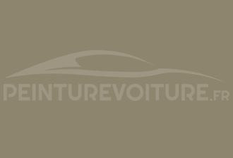 Code peinture Ford MTS Yellow Grey