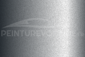 Code peinture Maruti MU021 Quick Silver