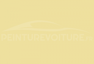 Code peinture DKW MV73 Amarillo
