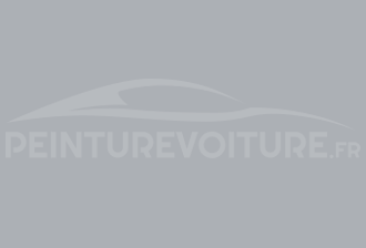 Code peinture Isuzu N034-P803 N 7 Grey