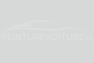 Code peinture Isuzu N035-P803 N 8.5 Grey