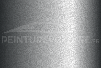 Code peinture Isuzu N041 Light Grey