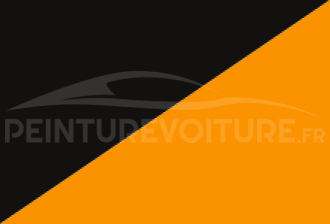 Code peinture Bmw Moto N33 981 +978