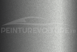 Code peinture Hyundai N4G Steel Grey