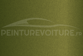 Code peinture Hyundai N4R Exotic Green