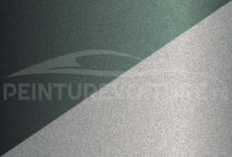 Code peinture Daihatsu N58/84 6d3 + S01