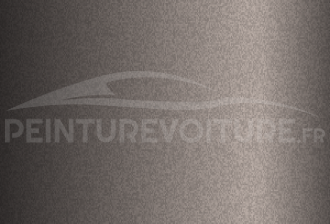 Code peinture Hyundai N5N Purple Chestnut
