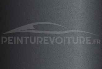 Code peinture VinFast N5R5B Neptune Gray