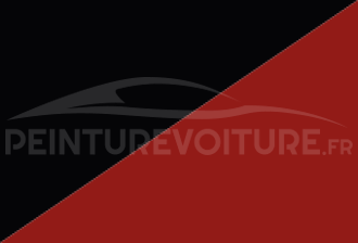 Code peinture Daihatsu N76 202 + R09