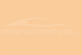 Code peinture Mitsubishi NA Nevada Gold