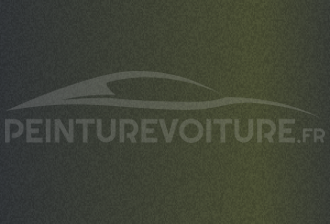 Code peinture Hyundai NBP Black Charcoal Green