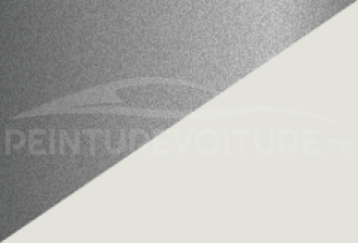 Code peinture Daihatsu NC1 W09 + S07