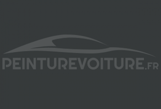 Code peinture Innocenti NF 10 Grigio Medio