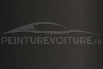 Code peinture Renault-Saviem (Vi) NF 1099 Gris Structure Matt