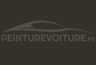 Code peinture Innocenti NF 18 Castoro '72