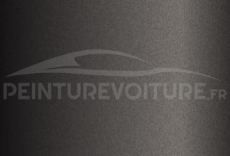 Code peinture Microcar NF 19013 Gris Diamant