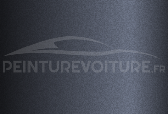 Code peinture Tata Motors NF 21087 Grey