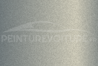 Code peinture Chatenet 137CJ917 Gris Boreal