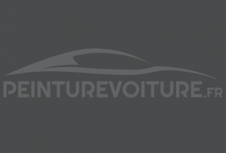 Code peinture Renault-Saviem (Vi) NF 2338 Gris Pare Chocs Fonce'