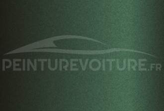 Code peinture Dacia NF 24855 Verde Padurea Neagra