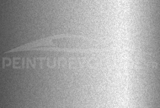 Code peinture Chatenet EVW Gris Thallium