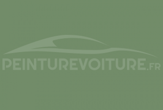 Code peinture Renault NF 321 Vert Sologne (rodeo)