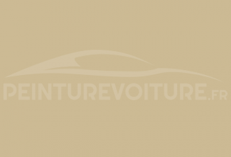 Code peinture Microcar NF 5 61beige