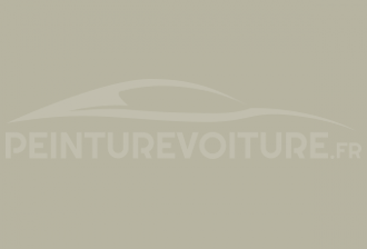 Code peinture Innocenti NF 5 Grigio Arabian
