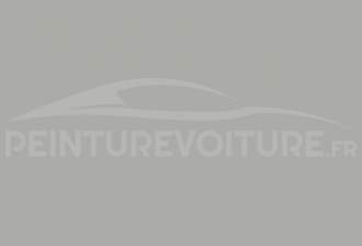 Code peinture Innocenti NF 53 Grigio Farina