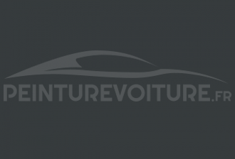 Code peinture Renault-Saviem (Vi) NF 774 Gris Fonce' Chassis Matt