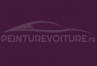 Code peinture Microcar NF 8001 Viola