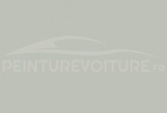 Code peinture Innocenti NF 8009 Grigio Ghia