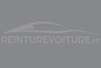 Code peinture Opel NF 8097 Kestral Grey